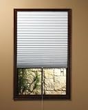 31zp uR11bL. SL160  1 2 3 Shade Vinyl Room Darkening Temporary Pleated Shades,...