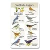 Identiflyer Songcard - Eastern Yardbirds