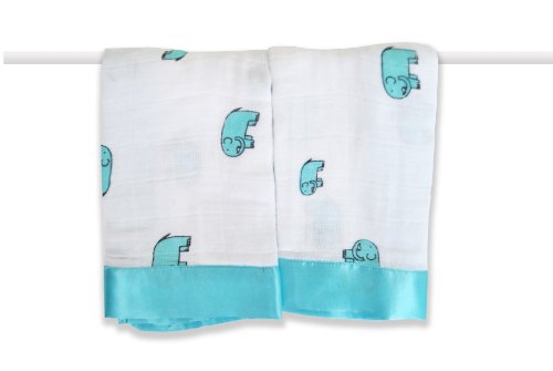 aden and anais muslin comforter