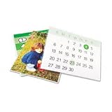 GBC SelfSeal Self Adhesive Laminating Pouches, Letter Size, Gloss, Clear, 50 Pouches per Pack (3747307)