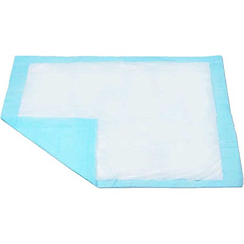 Northshore Premium Blue Disposable Underpads Chux Large Size 23 x 36 PK