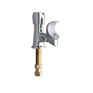Chicago Faucets 748-665FHCP Self-Closing Bubbler, Chrome by 