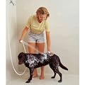 Rinse Ace Pet Shower Deluxe