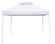 Quick Shade Commercial 100 Canopy - White