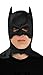Rubie's Costume Co Batman The Dark Knight Rises Mask