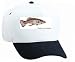 White Cap with scientific, sea, fish, aquarium