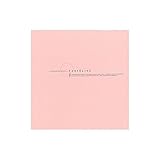 (業務用セット) フエルアルバム 写真 Digio フォトライブ レッド LPF-1002-R【×5セット】 生活用品 インテリア 雑貨 インテリア 家具 フォトスタンド アルバム [並行輸入品]