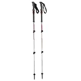 Black Diamond First Strike Trekking Pole