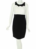 IMAGE OF Taylor Sleeveless Two Tone Dress