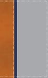 NIV Teen Study Bible Compact Orange/Navy/Gray Limited Edition- CBA