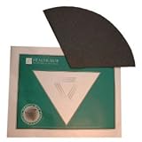 Filter Queen Charcoal Cone Vacuum Cleaner Replacement Filter (2 Pack)