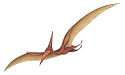 Walls of the Wild Pterodactyl