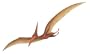 Walls of the Wild Pterodactyl