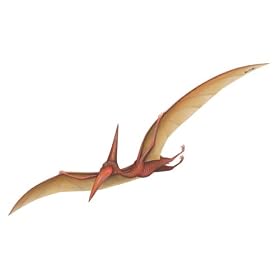 Walls of the Wild Pterodactyl