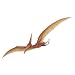 Walls of the Wild Pterodactyl