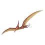 Walls of the Wild Pterodactyl