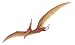 Walls of the Wild Pterodactyl