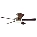 Hunter 21617 Palermo 52-Inch Energy Star Brushed-Nickel Ceiling Fan with 5 Maple/Cherry Blades
