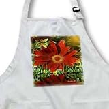 Feng Shui - Medium Length Apron With Pouch Pockets 22w X 24l
