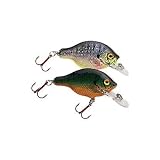 Fishing: Bagley Small Fry Bream