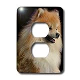 Dogs Pomeranian - Pomeranian portrait - Light Switch Covers - 2 plug outlet cover