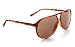 Zoom Classic Sunglasses Plastic Aviator Tear Drop Shape with Double Brow, Tortoise Color Frames/Brown Color Lenses, Large