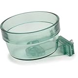 PETCO Twist & Lock Crock in Green, 20 oz.