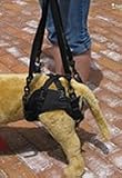 Walkin' Lift Dog Harness- Xlarge