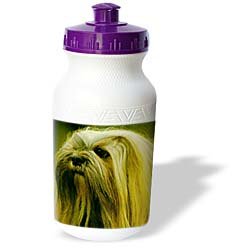 Dogs Lhasa Apsos - Lhasa Apsos - Water Bottles