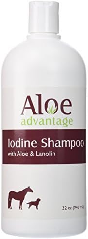 Aloe Advantage Aloe Iodine Shampoo, 32-Ounce by Aloe Advantage