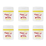 猫専用プレミアムサプリメント　Premium Pet Supplements Vigor+（ビガープラス）for Cats プレミアムα ×6個セットの画像
