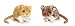 Ganz Lil' Gerbils Set of 2 Plush Gerbils