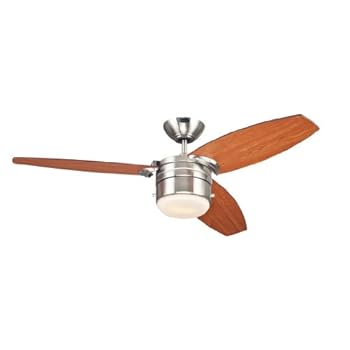 Interior Raindance Ceiling Fan Pawo
