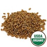 Wheat Grass Sprouting Seeds Organic - Agropyron elongatum, 1 lb,(Starwest Botanicals)