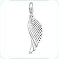 Charms