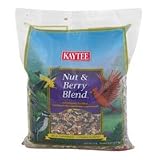 5LB Nut / Berry Bird Food - B000BZ4RLM
