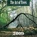 Kitchen & Housewares : Art of Trees, The 2009 Wall Calendar
