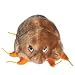 GIANT Microbes - Scabies - Mange (Sarcoptes scabei) - Plush Toy