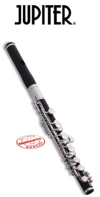 Jupiter ABS Body Piccolo 305S