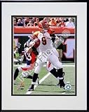 Photo File Cincinnati Bengals Carson Palmer Framed Photo Size: One Size