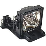 Electronics : InFocus - Projector lamp