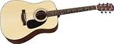Fender DG-60 Acoustic Guitar, Natural