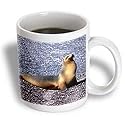Wild animals - Sea Lion - Mugs