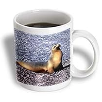 Wild animals - Sea Lion - Mugs