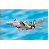 Revell 1:100 F-15 Eagle