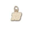 Driver Number 18 Small 5/16" Charm/Pendant -14K/10K, Stainless Steel or Gold Plated