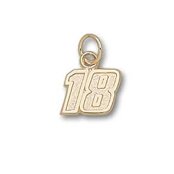 Driver Number 18 Small 5/16" Charm/Pendant -14K/10K, Stainless Steel or Gold Plated