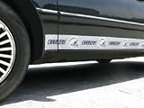 San Diego Chargers Car Trim Magnets