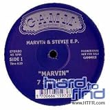 Marvin & Stevie Ep [12" VINYL]