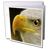 SmudgeArt Eagle Designs - The Guardian - Greeting Cards-12 Greeting Cards with envelopes